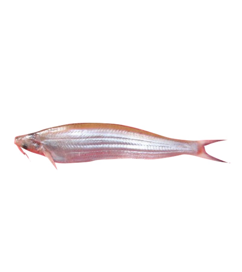 http://atiyas.techluminous.com/public/storage/photos/1/PRODUCT2/The Rose Kajuli Fish 250gms.jpg